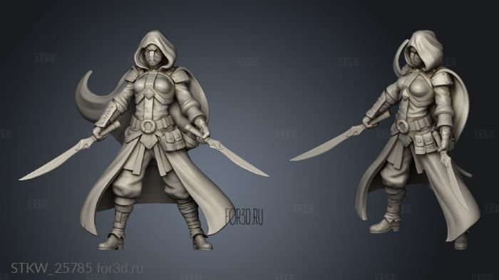 Assassins assassin stl model for CNC