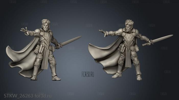 Battlemages and Spellblades Male Mage stl model for CNC