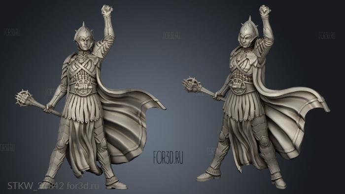 Black Dragon Clerics Cleric stl model for CNC