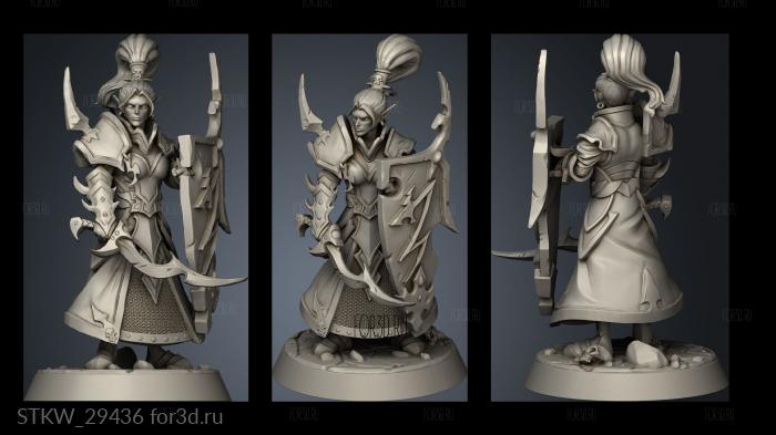 Dark Elves Elf Crusader stl model for CNC