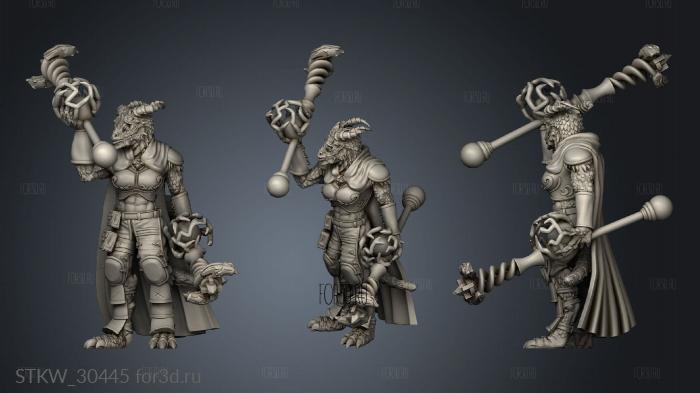 Dragonborn Sorceress magic stl model for CNC