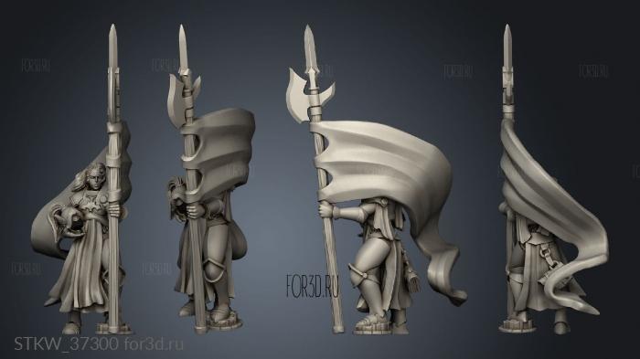 land WARRIOR THE LADY BANNER 3d stl модель для ЧПУ