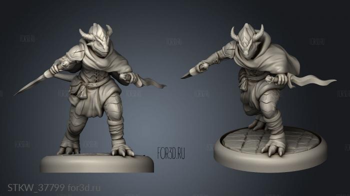 Lost Dragons Shadowborn Dragonborn Rogue Hoodup stl model for CNC