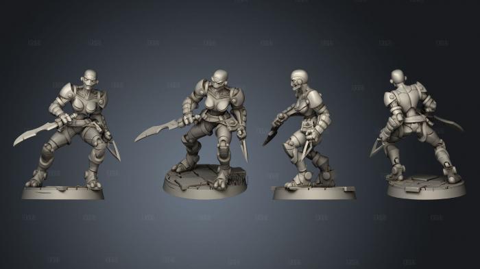 BTB Warfarget Rogue stl model for CNC