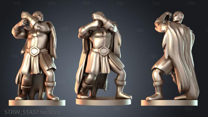 STKW_51437 3d stl модель для ЧПУ