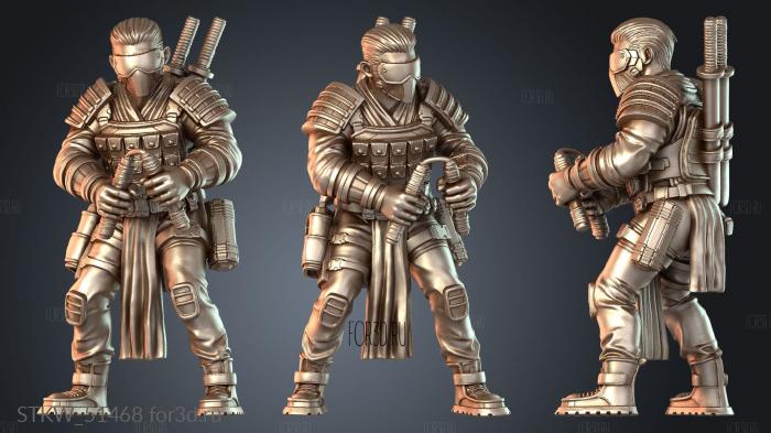 STKW_51468 3d stl модель для ЧПУ