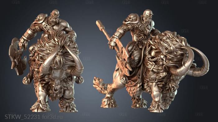 STKW_52231 stl model for CNC