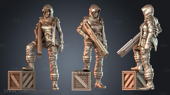 STKW_52662 3d stl модель для ЧПУ