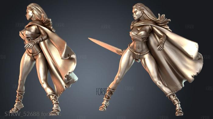 STKW_52688 3d stl модель для ЧПУ
