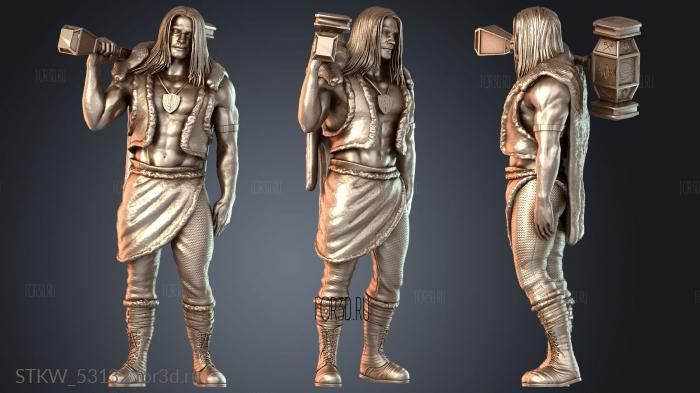 STKW_53132 3d stl модель для ЧПУ