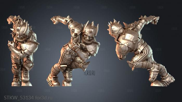 STKW_53134 3d stl модель для ЧПУ