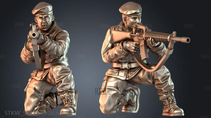 STKW_53179 3d stl модель для ЧПУ