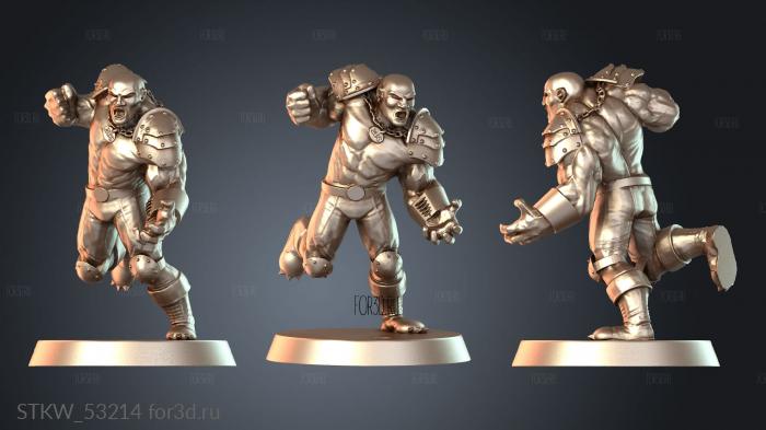 STKW_53214 3d stl модель для ЧПУ