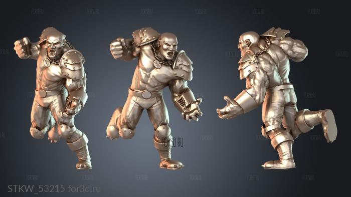 STKW_53215 3d stl модель для ЧПУ