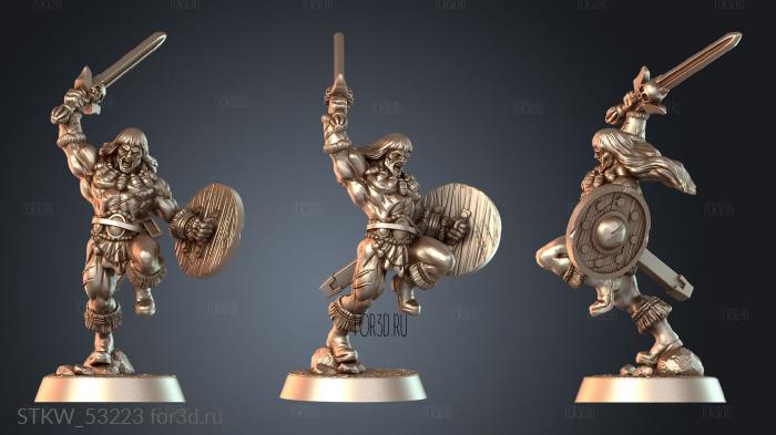 STKW_53223 3d stl модель для ЧПУ