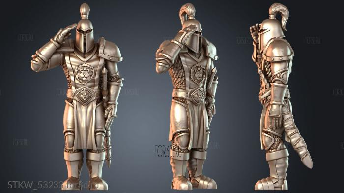 STKW_53233 3d stl модель для ЧПУ