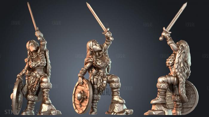 STKW_53355 3d stl модель для ЧПУ