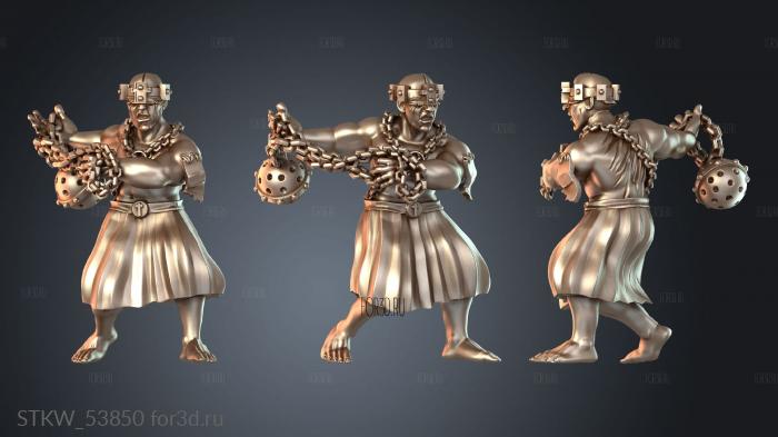 STKW_53850 3d stl модель для ЧПУ