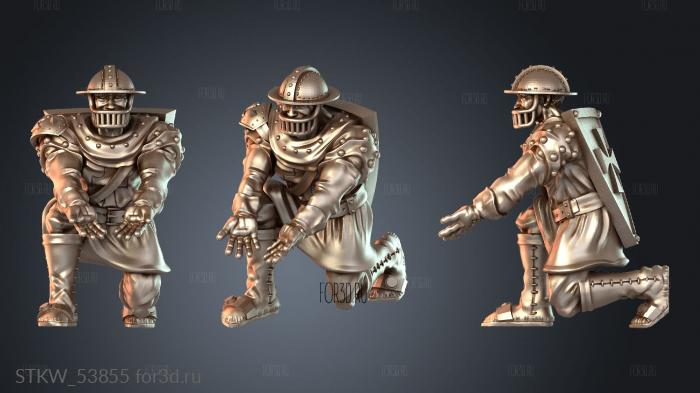 STKW_53855 3d stl модель для ЧПУ