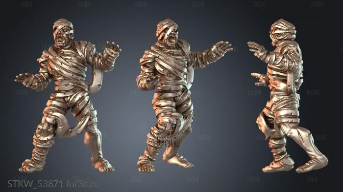 STKW_53871 3d stl модель для ЧПУ