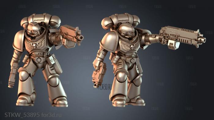 STKW_53895 3d stl модель для ЧПУ