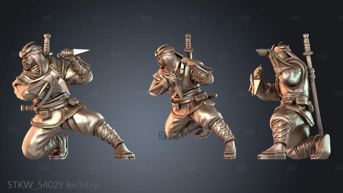 STKW_54029 3d stl модель для ЧПУ