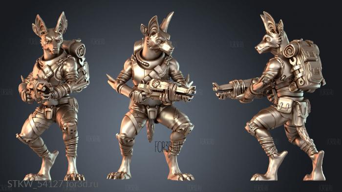 STKW_54127 3d stl модель для ЧПУ
