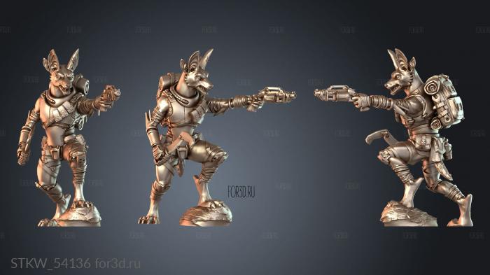STKW_54136 3d stl модель для ЧПУ