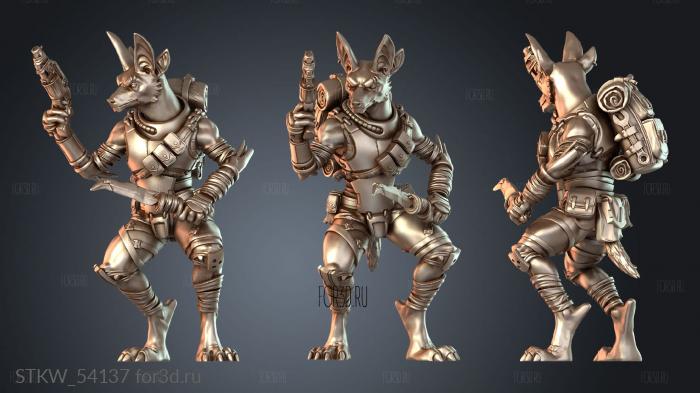 STKW_54137 3d stl модель для ЧПУ