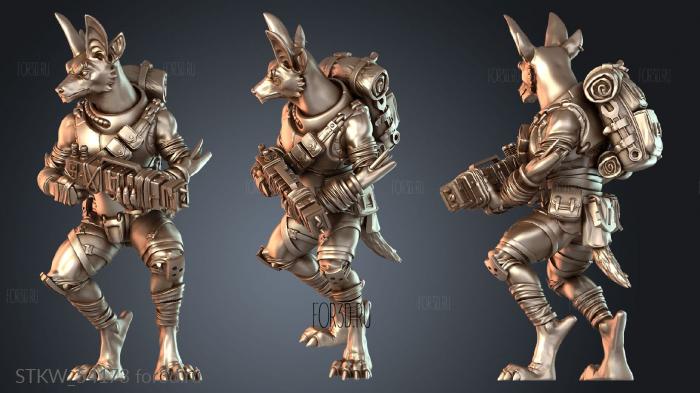 STKW_54173 3d stl модель для ЧПУ