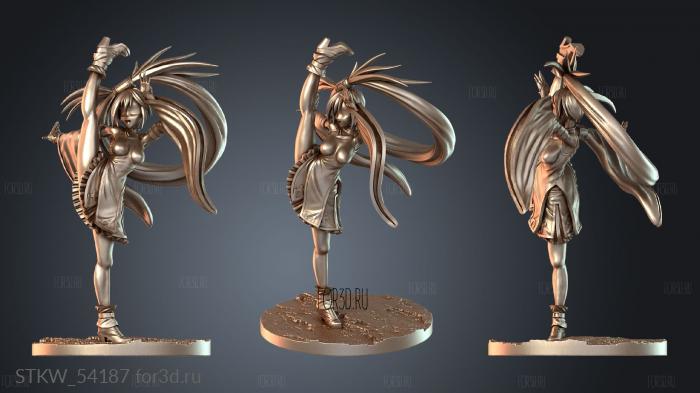 STKW_54187 3d stl модель для ЧПУ