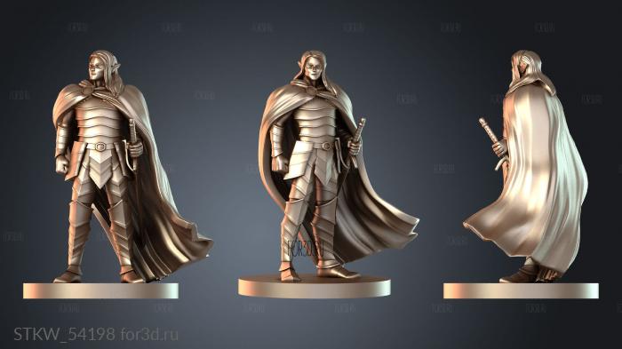 STKW_54198 3d stl модель для ЧПУ