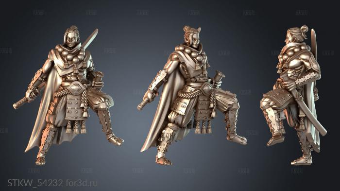 STKW_54232 3d stl модель для ЧПУ