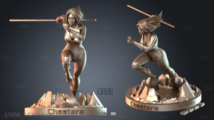 STKW_54269 3d stl модель для ЧПУ