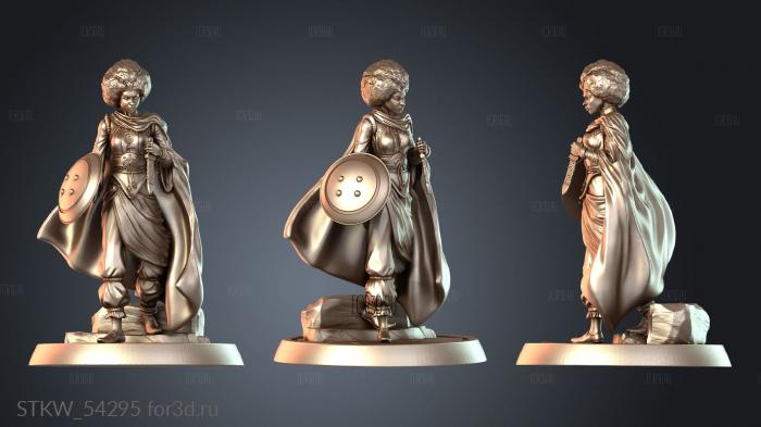 STKW_54295 3d stl модель для ЧПУ