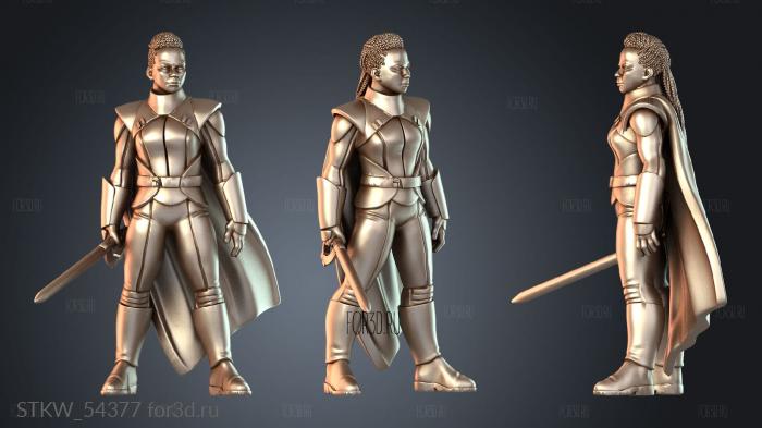 STKW_54377 3d stl модель для ЧПУ