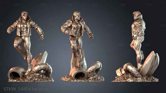 STKW_54454 stl model for CNC