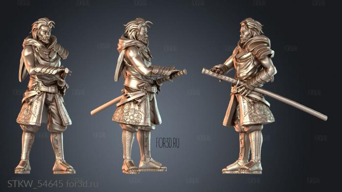STKW_54645 3d stl модель для ЧПУ