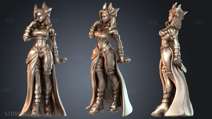 STKW_54773 3d stl модель для ЧПУ