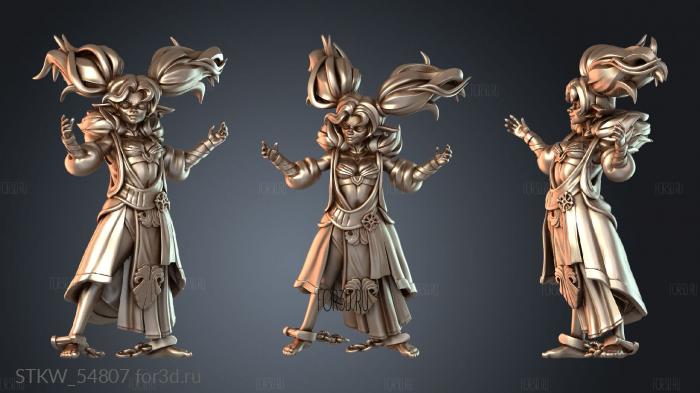 STKW_54807 3d stl модель для ЧПУ