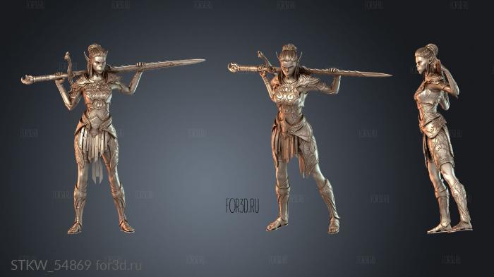 STKW_54869 3d stl модель для ЧПУ