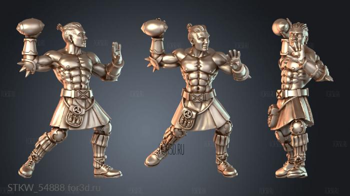 STKW_54888 3d stl модель для ЧПУ