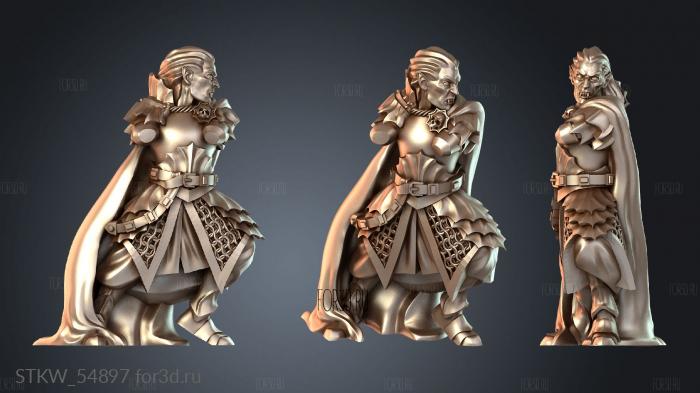 STKW_54897 3d stl модель для ЧПУ