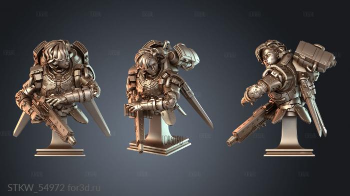STKW_54972 3d stl модель для ЧПУ