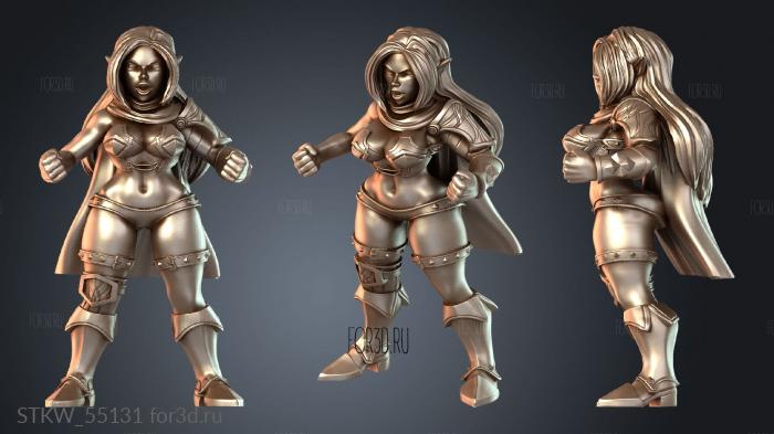 STKW_55131 3d stl модель для ЧПУ