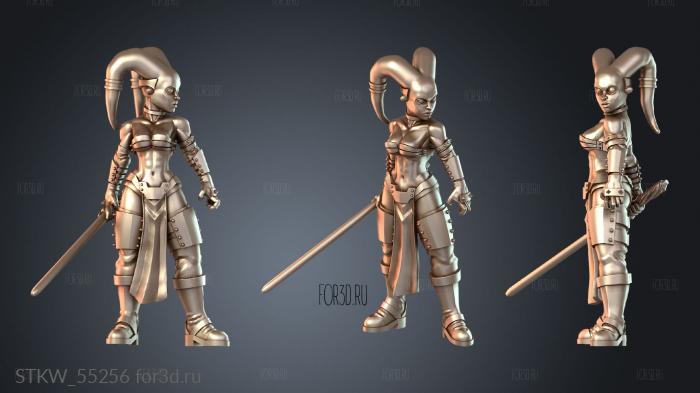 STKW_55256 3d stl модель для ЧПУ