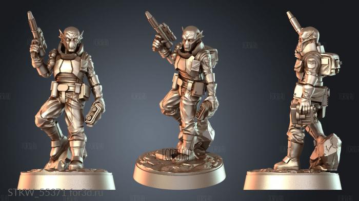 STKW_55371 3d stl модель для ЧПУ