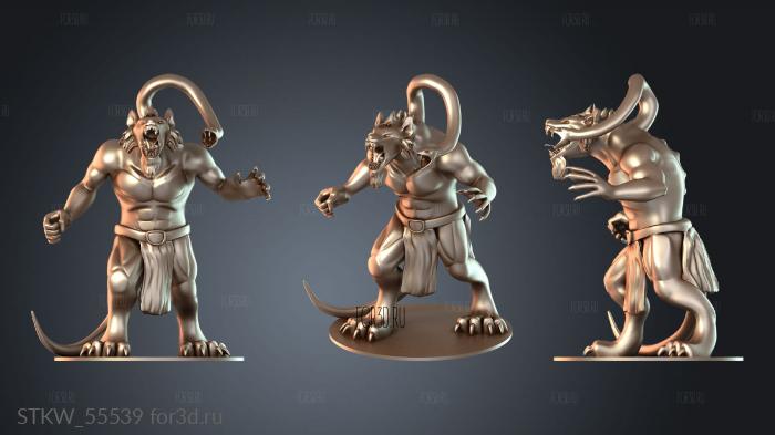 STKW_55539 3d stl модель для ЧПУ