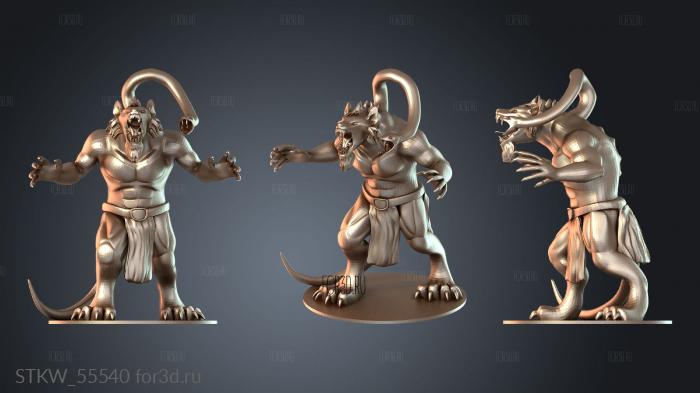 STKW_55540 3d stl модель для ЧПУ