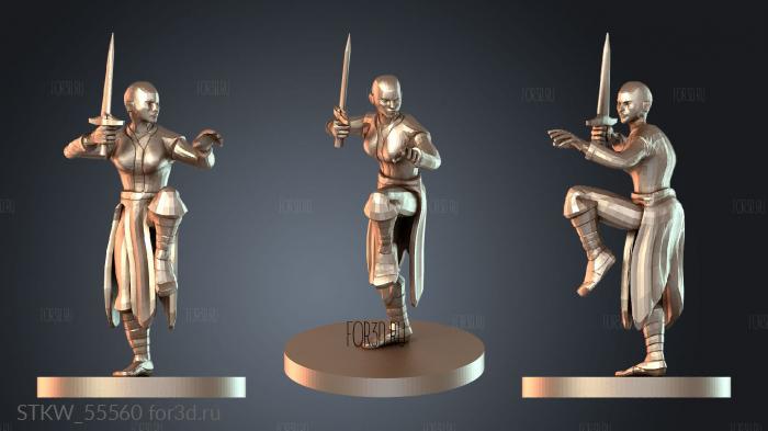 STKW_55560 3d stl модель для ЧПУ